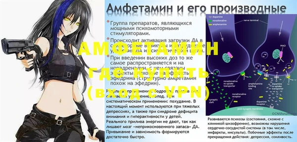 индика Барнаул