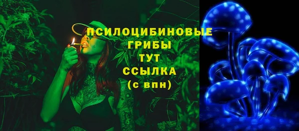 бутират Майский