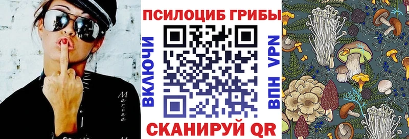 где продают Уржум Псилоцибиновые грибы мухоморы