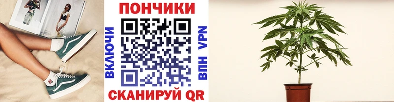 Бошки марихуана OG Kush  даркнет сайт  Уржум 